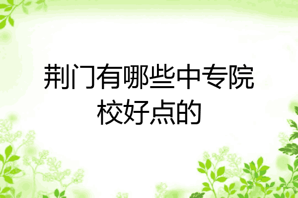 荆门有哪些中专院校好点的