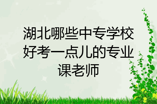 湖北哪些中专学校好考一点儿的专业课老师