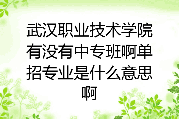 武汉职业技术学院有没有中专班啊单招专业是什么意思啊