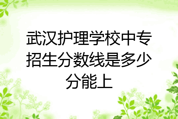 武汉护理学校中专招生分数线是多少分能上