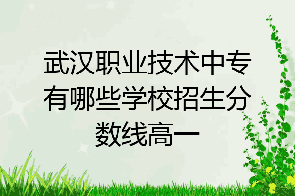 武汉职业技术中专有哪些学校招生分数线高一