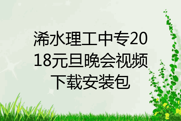 浠水理工中专2018元旦晚会视频下载安装包