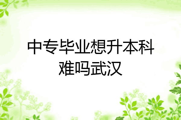 中专毕业想升本科难吗武汉