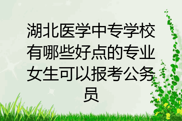湖北医学中专学校有哪些好点的专业女生可以报考公务员