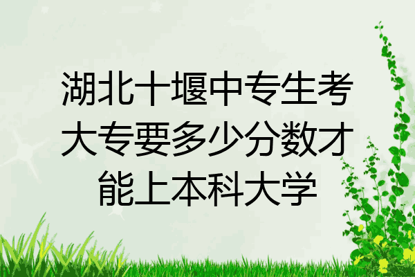 湖北十堰中专生考大专要多少分数才能上本科大学