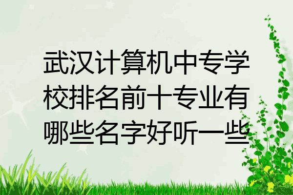 武汉计算机中专学校排名前十专业有哪些名字好听一些