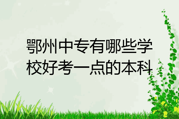 鄂州中专有哪些学校好考一点的本科