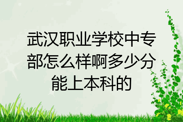 武汉职业学校中专部怎么样啊多少分能上本科的
