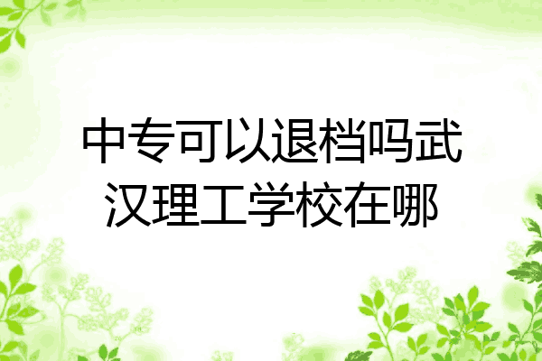 中专可以退档吗武汉理工学校在哪