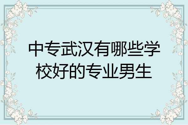 中专武汉有哪些学校好的专业男生