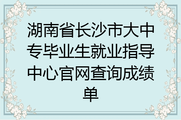湖南省长沙市大中专毕业生就业指导中心官网查询成绩单