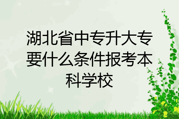 湖北省中专升大专要什么条件报考本科学校