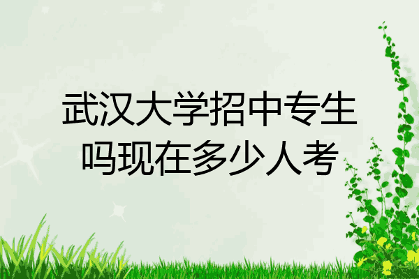 武汉大学招中专生吗现在多少人考