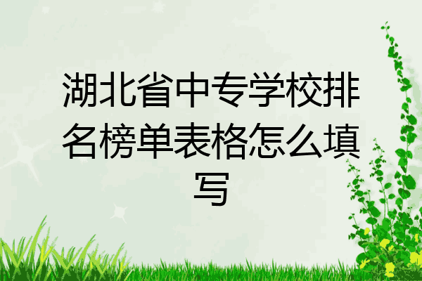 湖北省中专学校排名榜单表格怎么填写
