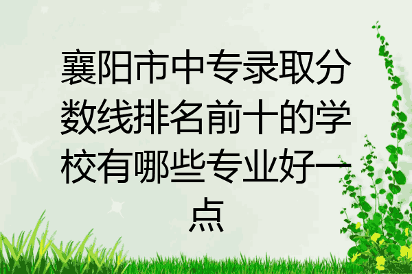 襄阳市中专录取分数线排名前十的学校有哪些专业好一点