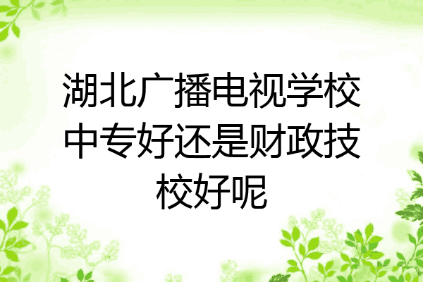 湖北广播电视学校中专好还是财政技校好呢