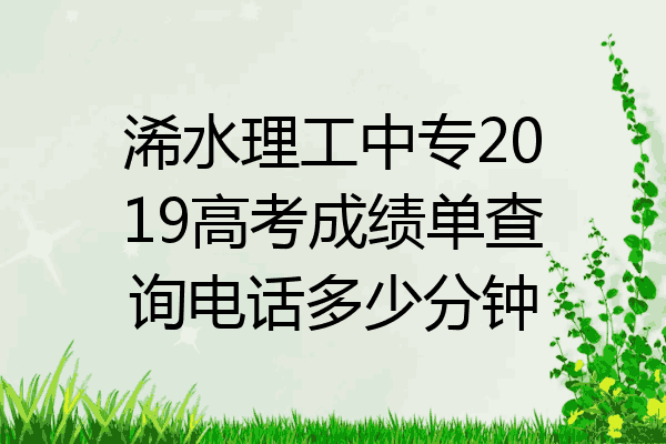 浠水理工中专2019高考成绩单查询电话多少分钟