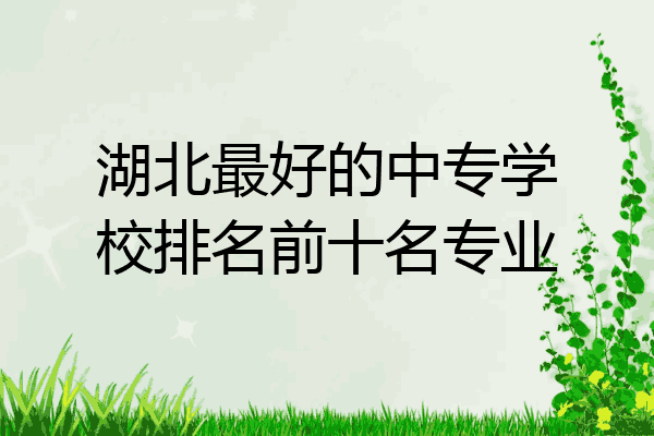 湖北最好的中专学校排名前十名专业