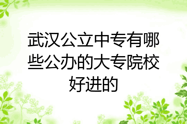 武汉公立中专有哪些公办的大专院校好进的