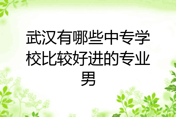武汉有哪些中专学校比较好进的专业男