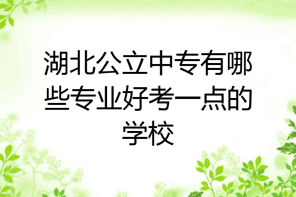 湖北公立中专有哪些专业好考一点的学校