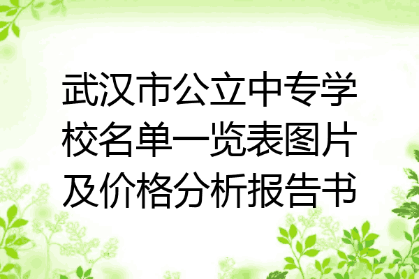 武汉市公立中专学校名单一览表图片及价格分析报告书