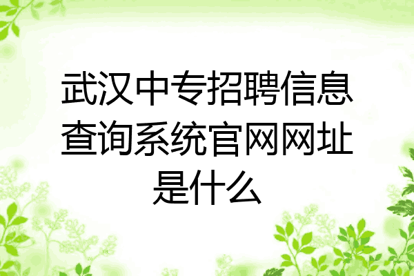 武汉中专招聘信息查询系统官网网址是什么
