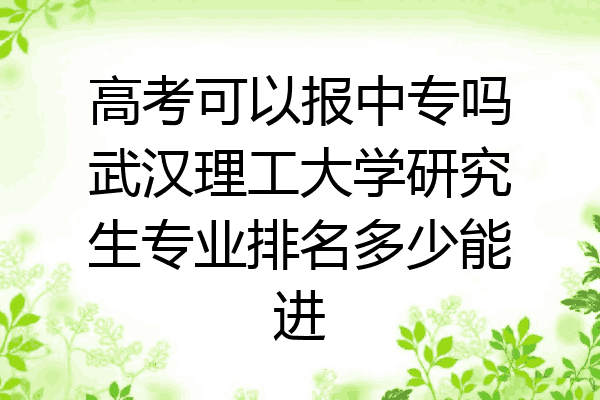 高考可以报中专吗武汉理工大学研究生专业排名多少能进