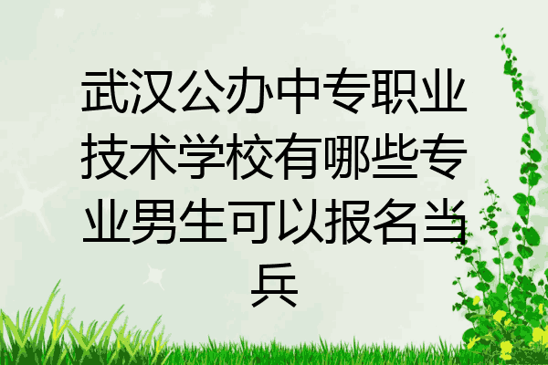 武汉公办中专职业技术学校有哪些专业男生可以报名当兵