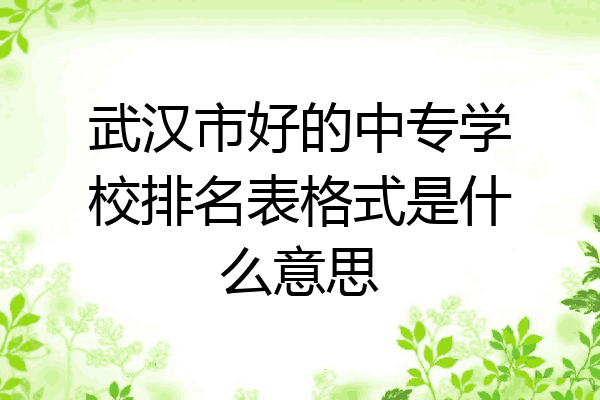 武汉市好的中专学校排名表格式是什么意思