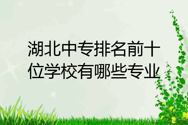 湖北中专排名前十位学校有哪些专业