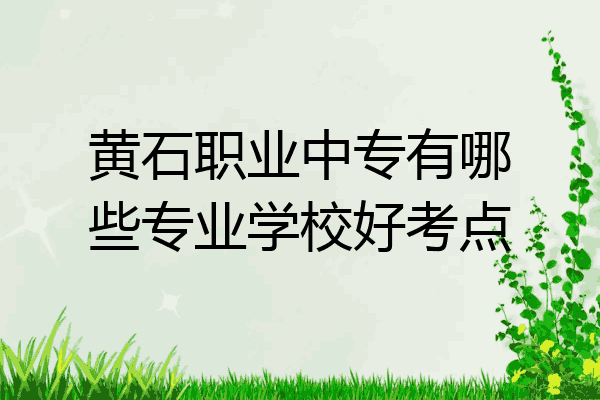 黄石职业中专有哪些专业学校好考点