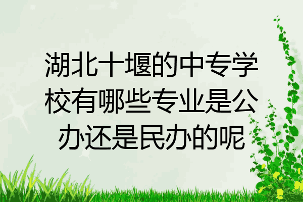 湖北十堰的中专学校有哪些专业是公办还是民办的呢
