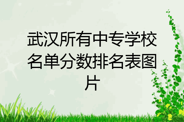 武汉所有中专学校名单分数排名表图片