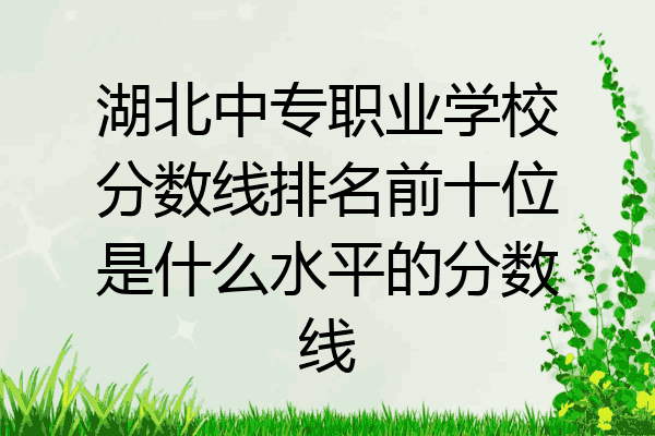 湖北中专职业学校分数线排名前十位是什么水平的分数线