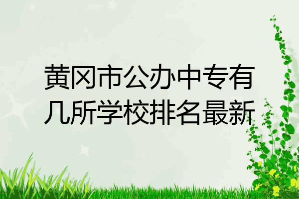 黄冈市公办中专有几所学校排名最新
