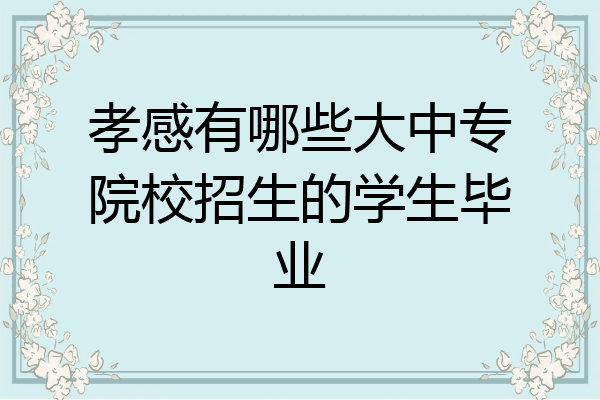孝感有哪些大中专院校招生的学生毕业