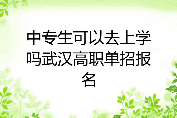 中专生可以去上学吗武汉高职单招报名