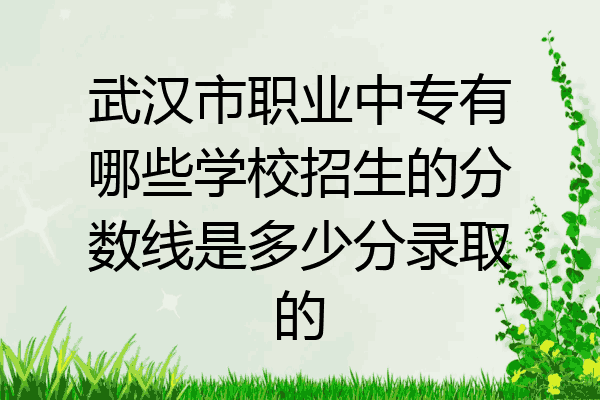 武汉市职业中专有哪些学校招生的分数线是多少分录取的