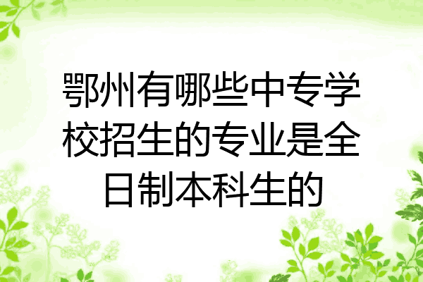 鄂州有哪些中专学校招生的专业是全日制本科生的