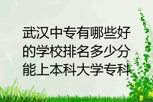 武汉中专有哪些好的学校排名多少分能上本科大学专科