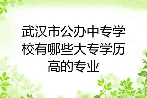 武汉市公办中专学校有哪些大专学历高的专业