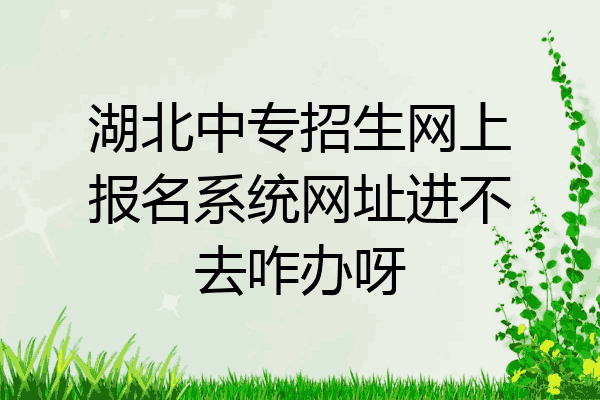 湖北中专招生网上报名系统网址进不去咋办呀