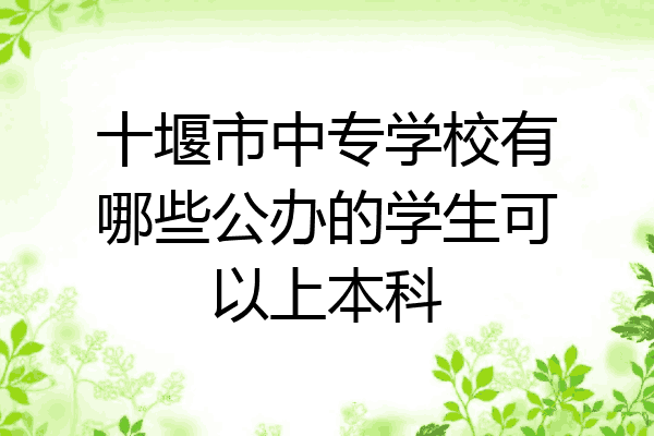 十堰市中专学校有哪些公办的学生可以上本科