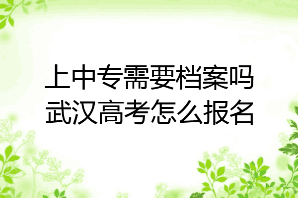 上中专需要档案吗武汉高考怎么报名