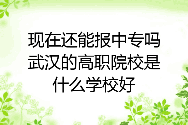 现在还能报中专吗武汉的高职院校是什么学校好