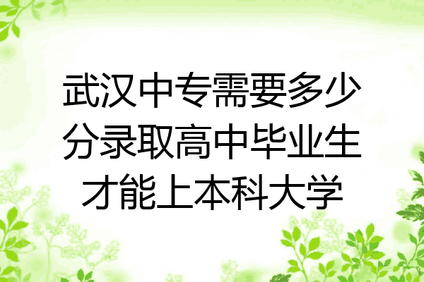 武汉中专需要多少分录取高中毕业生才能上本科大学