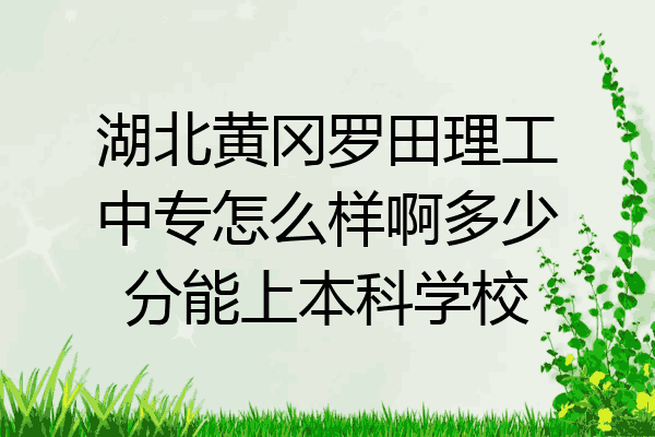 湖北黄冈罗田理工中专怎么样啊多少分能上本科学校
