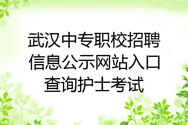 武汉中专职校招聘信息公示网站入口查询护士考试