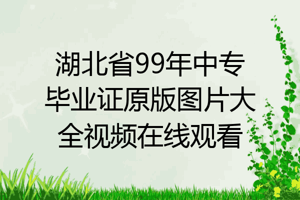湖北省99年中专毕业证原版图片大全视频在线观看